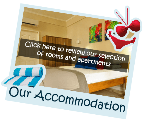 Click here to review our selection of rooms and apartments